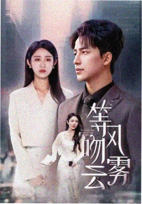 继承之战海报