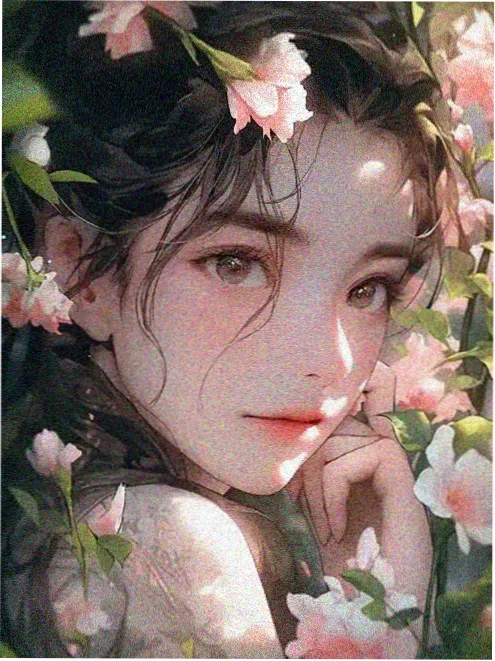 编辑私藏封面